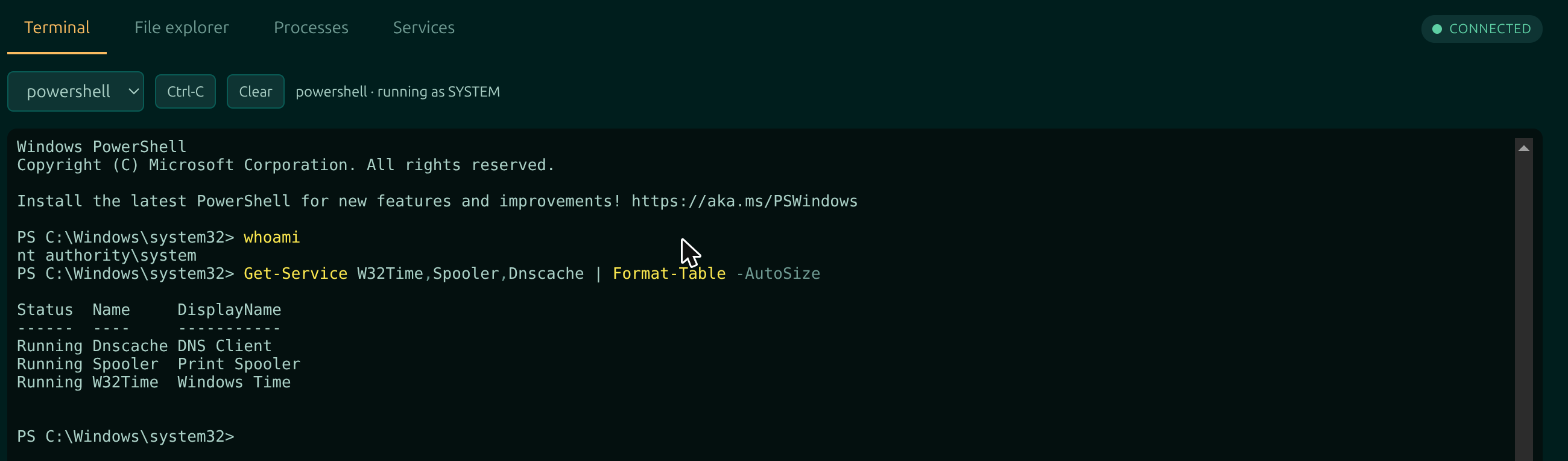 The Moorfox management pane with Terminal, File explorer, Processes and Services tabs, running PowerShell as NT AUTHORITY\SYSTEM