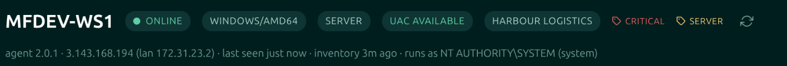 The header of a Moorfox device page showing the hostname followed by online, OS and architecture, product type, UAC available, group and tag pills